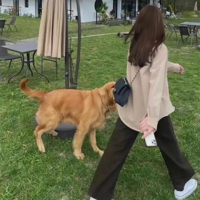 分歧者·异类叛逃